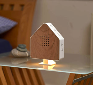 Northpoint Naturgeräuschebox Vogel Gesang Vogelzwitscher Box Echtholz unsichtbarer HF Bewegungssensor Vogelgeräusche Licht Aufladbar mit Wandhalterung