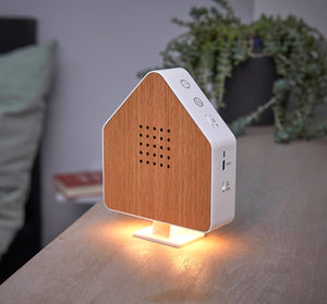 Northpoint Naturgeräuschebox Vogel Gesang Vogelzwitscher Box Echtholz unsichtbarer HF Bewegungssensor Vogelgeräusche Licht Aufladbar mit Wandhalterung