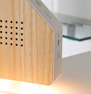 Northpoint Naturgeräuschebox Vogel Gesang Vogelzwitscher Box Echtholz unsichtbarer HF Bewegungssensor Vogelgeräusche Licht Aufladbar mit Wandhalterung