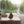 Northpoint Naturgeräusche Box Vogel Sound Box Echtholz Bewegungsmelder Sound Sensor Timer USB-C