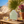 Naturgeräuschebox mit LED Beleuchtung Haus Arylik grün - SUMMER EDITION