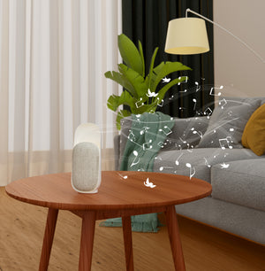 Northpoint 3in1 Nature Sound Box LED Nachtlicht mit Bluetooth Lautsprecher und Naturgeräuschen Ideale Beleuchtung und beruhigende Klänge perfekt für Schlafzimmer Kinderzimmer Wohnzimmer